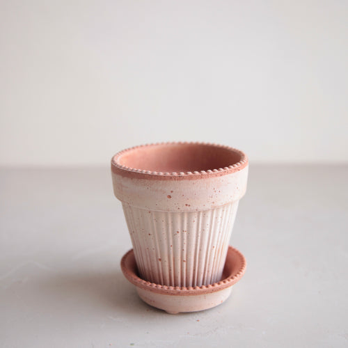 Simona Rosa Pot & Saucer
