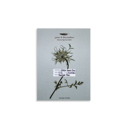 Botanical Specimen Labels