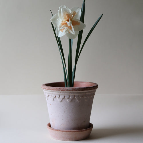 Københavner Pot Gift Box (Set of 3)