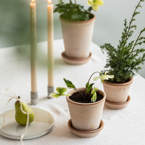 Helena Pot & Saucer, Rosa