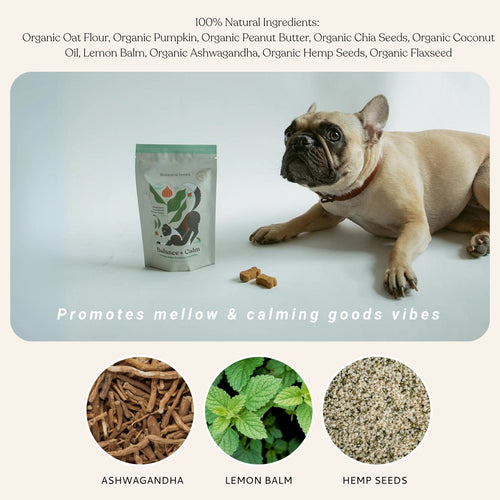 Botanical Bones Dog Treats