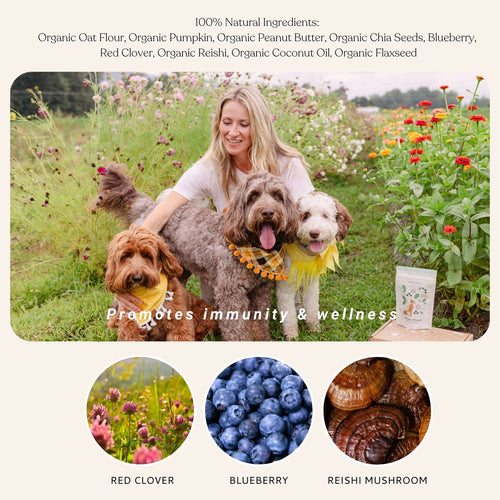 Botanical Bones Dog Treats