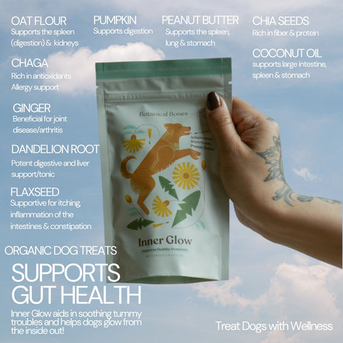 Botanical Bones Dog Treats
