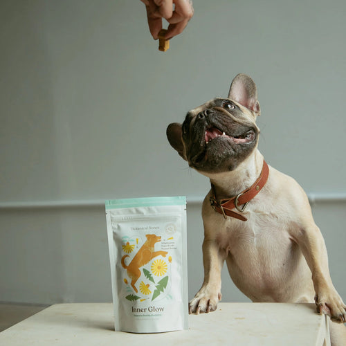 Botanical Bones Dog Treats
