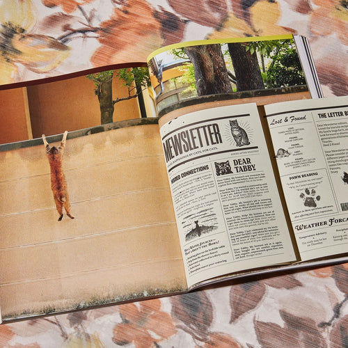 Cat Nip Magazine_Brocolli