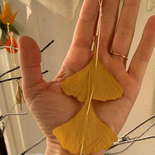Dried Ginkgo leaf ornaments