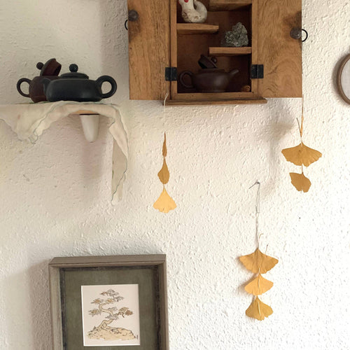 Dried Ginkgo leaf ornaments