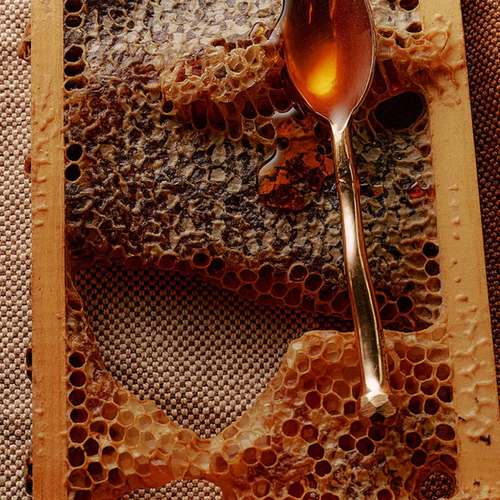 Flamingo Estate California Native Mountain Wildflower Honey