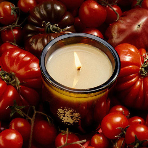 Flamingo Estate Roma Heirloom Tomato Candle