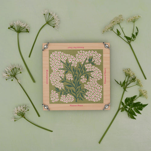 Flower Press Forget Me Not