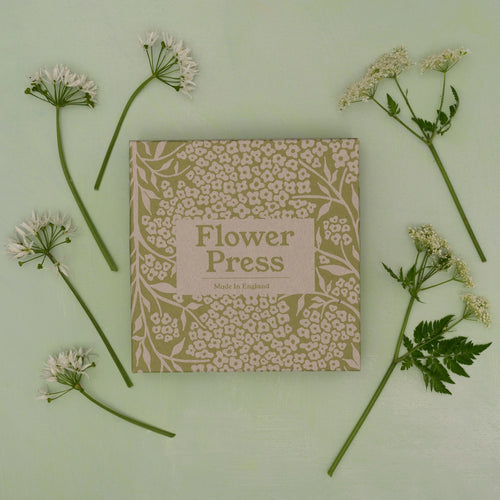 Flower Press Forget Me Not
