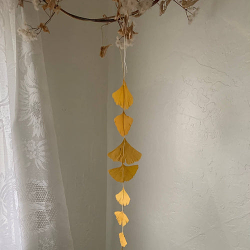 Ginko Leaf Dangle Decor Dried