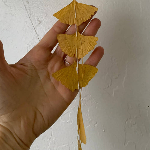 Ginko Leaf Dangle Decor Dried