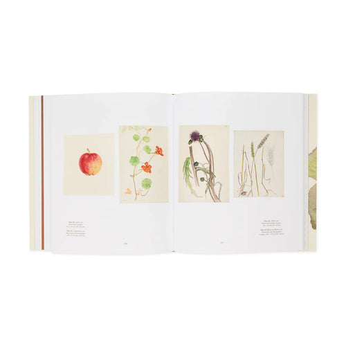 Hilma af Klint: What Stands Behind the Flowers (Hardcover)