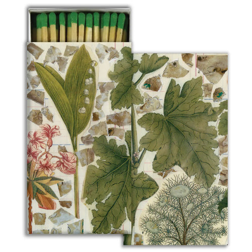 Natural World Matches