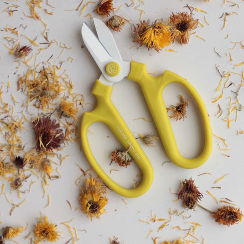 Japanese Floral Clippers _Citrine