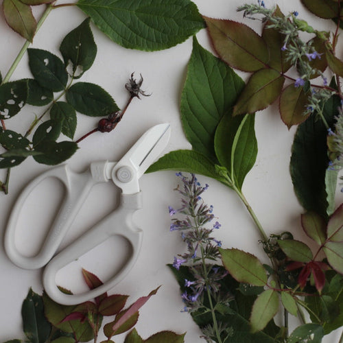 Japanese Floral Clippers _Fog