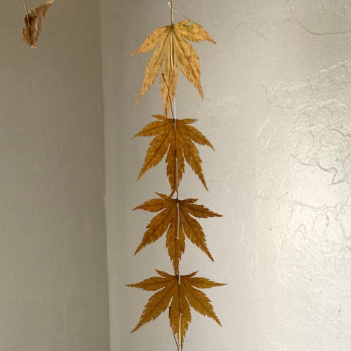 Maple Leaf Dangle Decor Dried