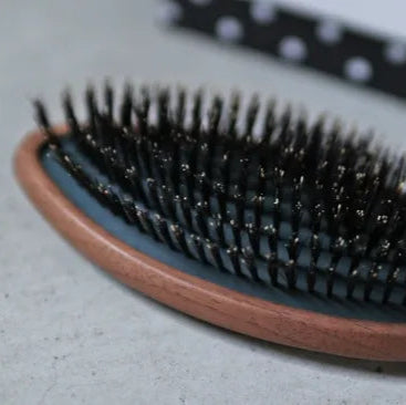 Japanese Brushes