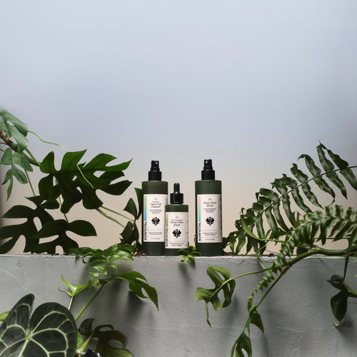 SowVital House Plant Elixir
