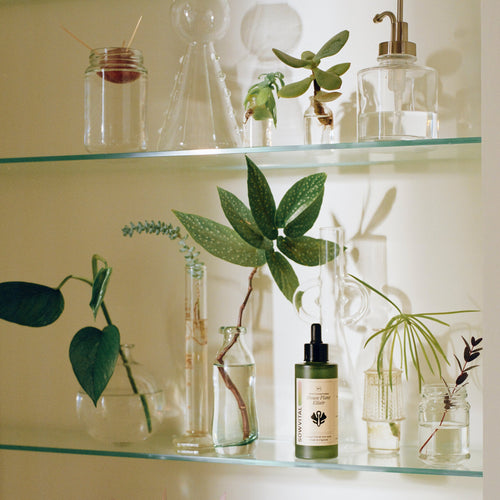 SowVital House Plant Elixir