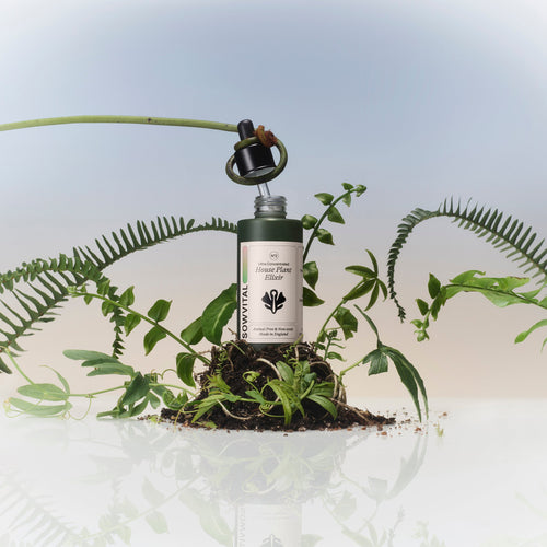 SowVital House Plant Elixir