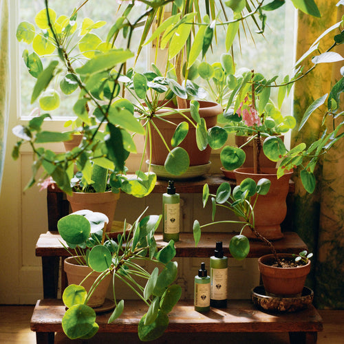 SowVital House Plant Elixir