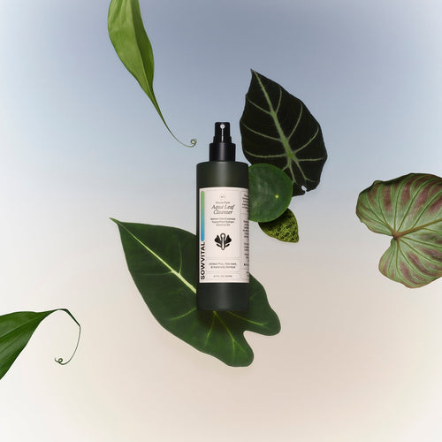 SowVital Houseplant Spritz