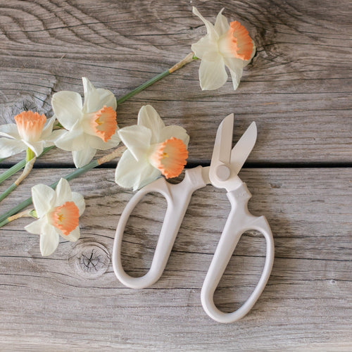 TheFloralSocietyJapaneseClipers_Fog