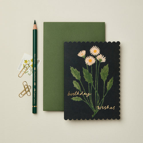 Greeting Cards
