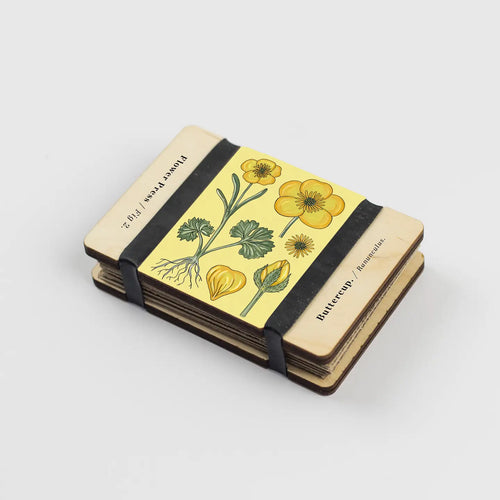 Yellow_Buttercup_Flower_Press_Mini