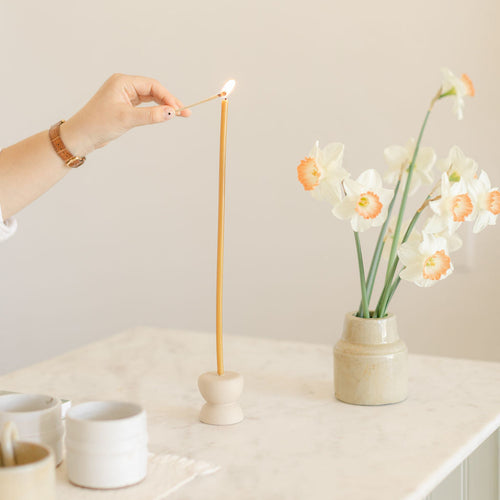 The Floral Society Long Stem Tapers