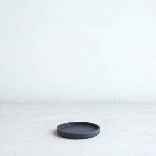 Daily Plate